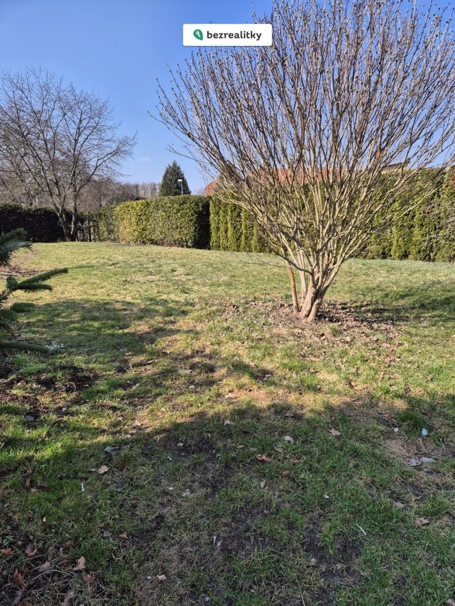 1773996850-teolkzortp-90b2d6fe-335d-4cc7-a509-c1adb20a71ac