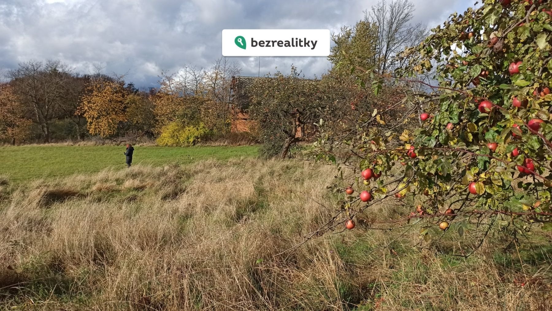 1769849892-hhgxctjyih-img-20251026-120849