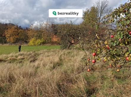 1769849892-hhgxctjyih-img-20251026-120849 | Prodej - pozemek, ostatní, 29 562 m²