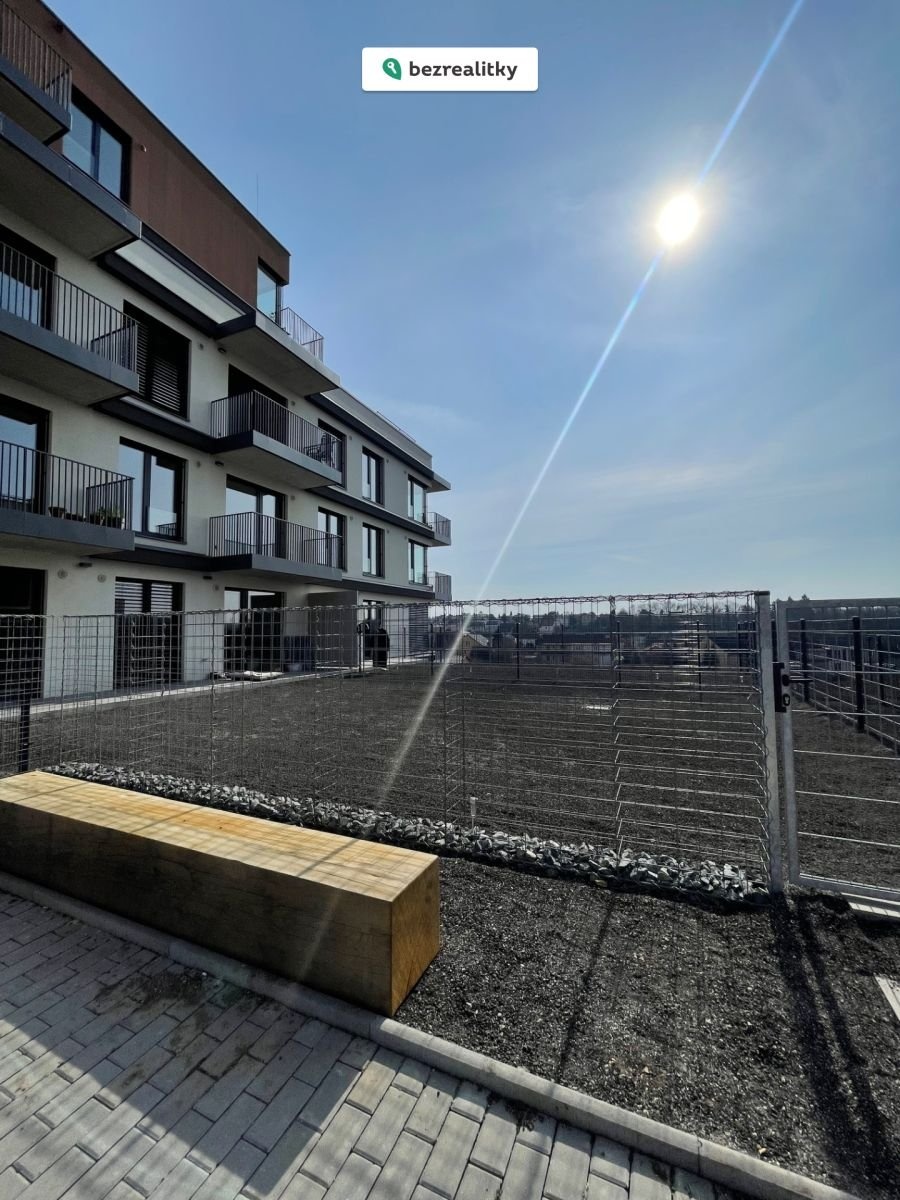 1774797042-zbthrrkozt-img-5354