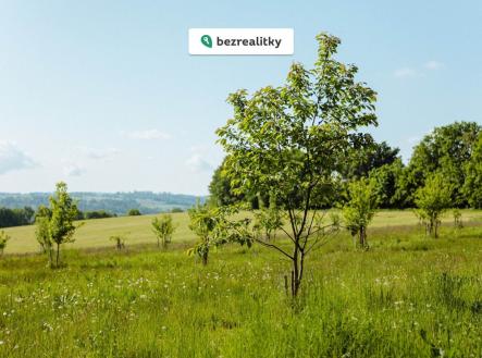 1775141183-hmotomsgbu-l1060965 | Prodej - pozemek pro bydlení, 126 783 m²