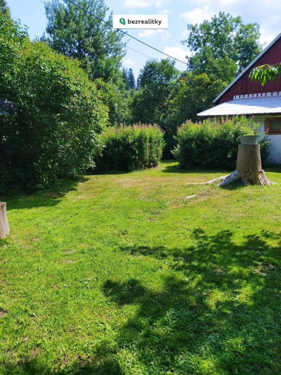 1774884236-lwqylszpwu-img-3854