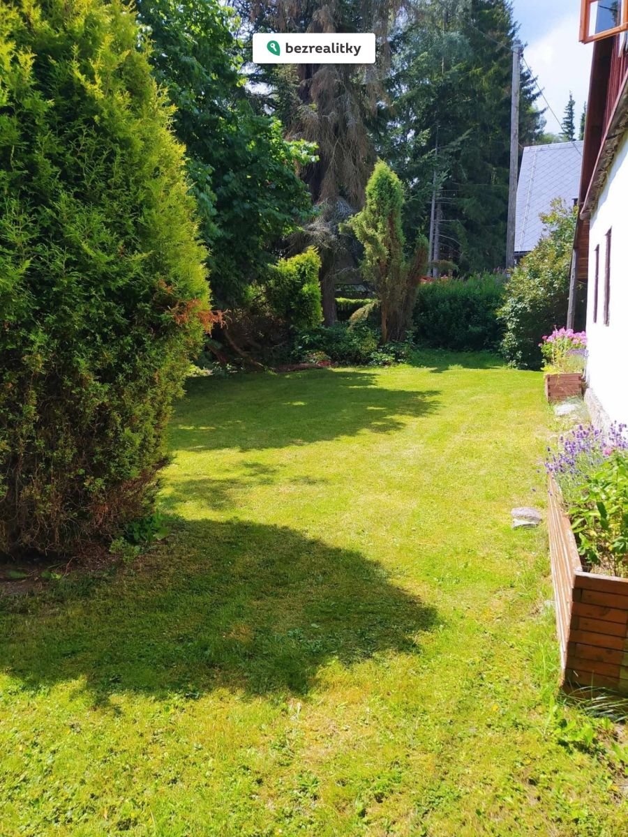 1774884236-yhgqbdybur-img-3853