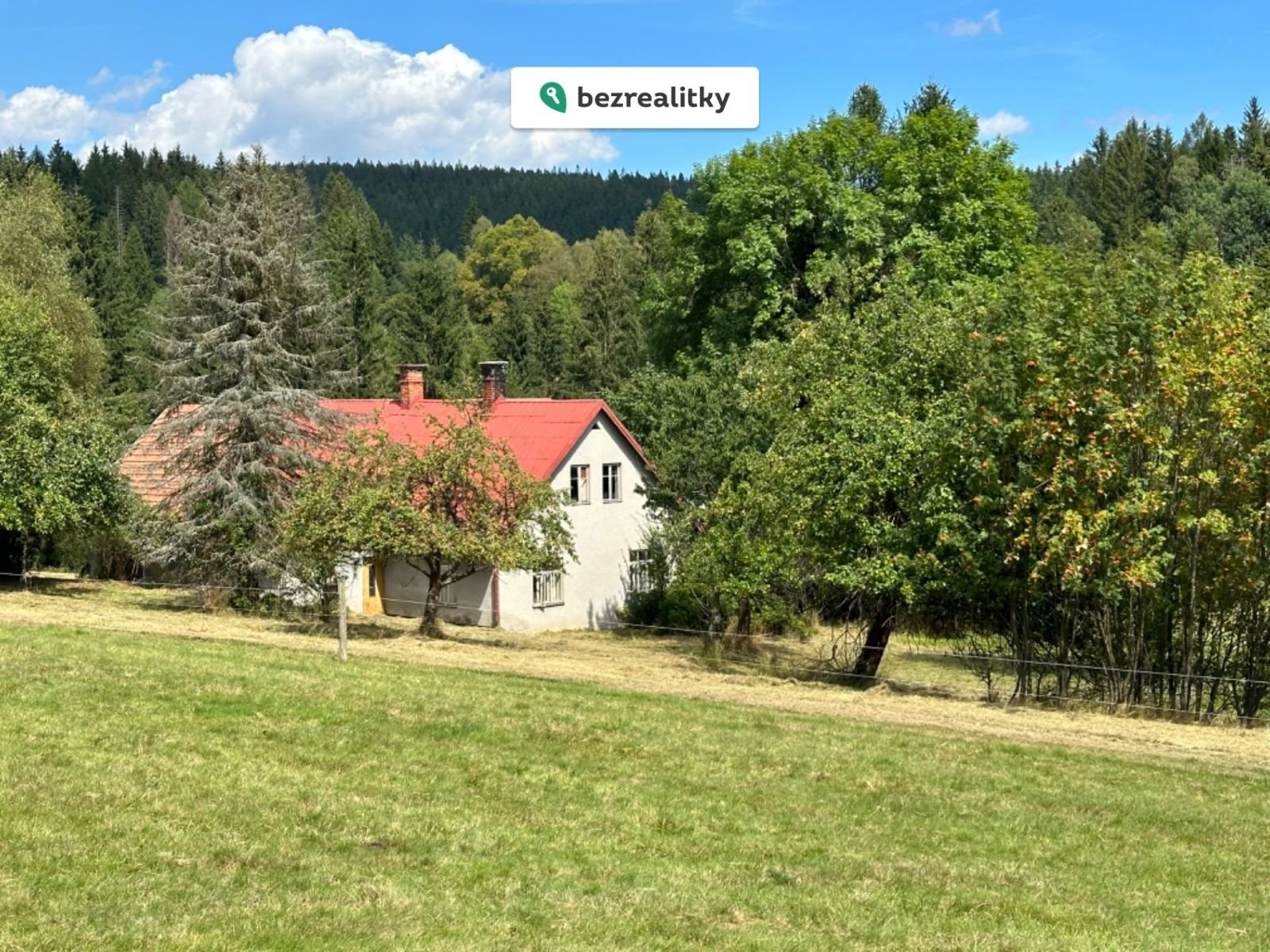 1775383894-tazsrundfj-img-1780