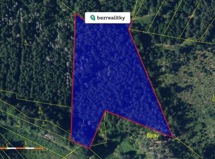 1775648961-gdieaewjwy-print-2813-29 | Prodej - pozemek, les, 13 632 m²