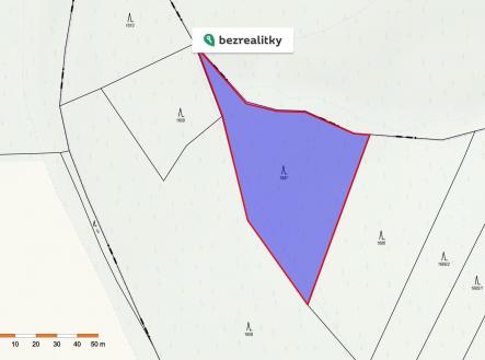 1775648961-dexmtycsns-print-2814-29 | Prodej - pozemek, les, 13 632 m²