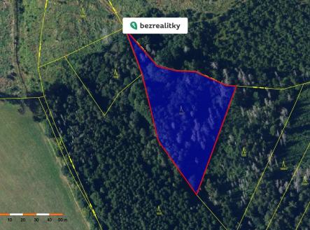 1775648961-bamzhylosf-print-2815-29 | Prodej - pozemek, les, 13 632 m²
