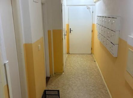 1772488541-boxenzpseu-img-1360 | Prodej bytu, 2+kk, 43 m²