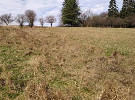 1776682221-xbhgvrpgaw-img-20260322-101556-281-29 | Prodej - pozemek pro bydlení, 4 638 m²