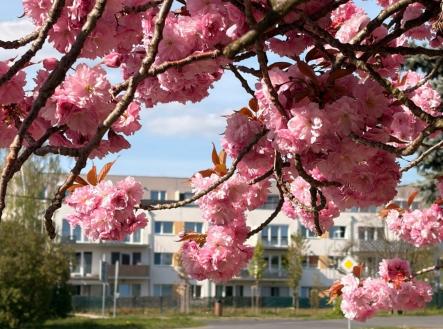 1778432265-evymyfeflc-img-2410 | Prodej bytu, 2+kk, 68 m²