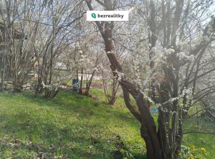 1777893597-bdojiyafud-img-20260414-104235 | Prodej - pozemek, zahrada, 501 m²