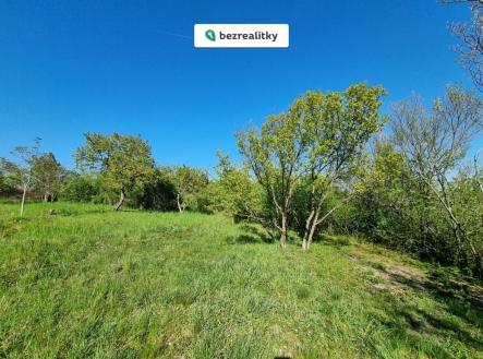 1777752819-uptvlzvfsr-1000046331 | Prodej - pozemek, zahrada, 998 m²