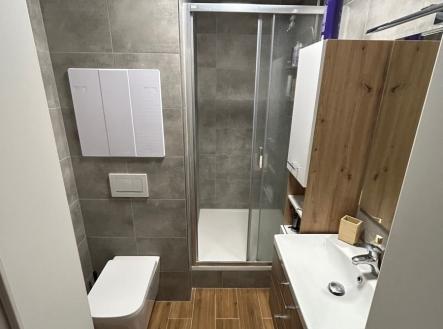 1779017037-fqraziauzi-img-4566 | Prodej bytu, 2+1, 45 m²