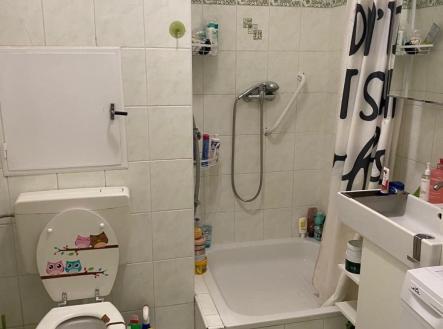 1779736462-akzkyaantt-img-20260323-wa0021 | Prodej bytu, 1+kk, 32 m²