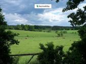 Prodej - pozemek, les, 2 678 m²