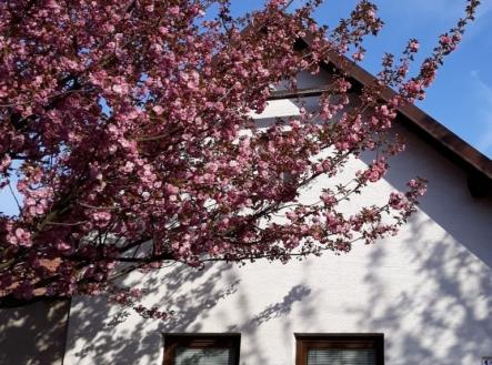 1780492081-mjgrwbctbu-20190420-172713 | Prodej - dům/vila, 145 m²