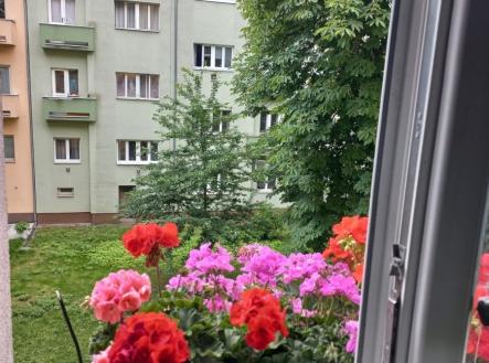 1781499759-eynvjtostd-1000017859 | Prodej bytu, 2+kk, 46 m²