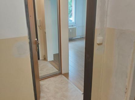 1781682613-tvkgdoasps-img20260614152215 | Prodej bytu, 1+1, 30 m²