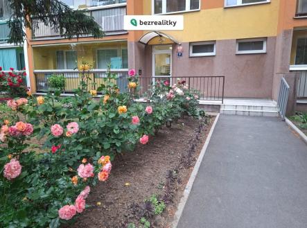 1780608237-gvpbabvoxy-33430 | Prodej bytu, 3+kk, 60 m²