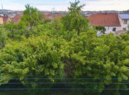 1782896435-xtzjvlalxp-krasny-vyhled-b | Prodej bytu, 2+1, 60 m²