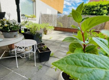 1781176275-qltautiqap-f-6 | Prodej bytu, 1+kk, 26 m²
