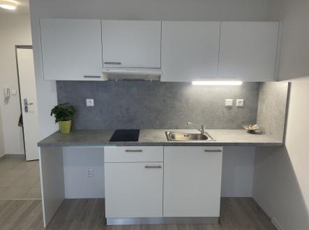 Pronájem bytu, 1+kk, 29 m²