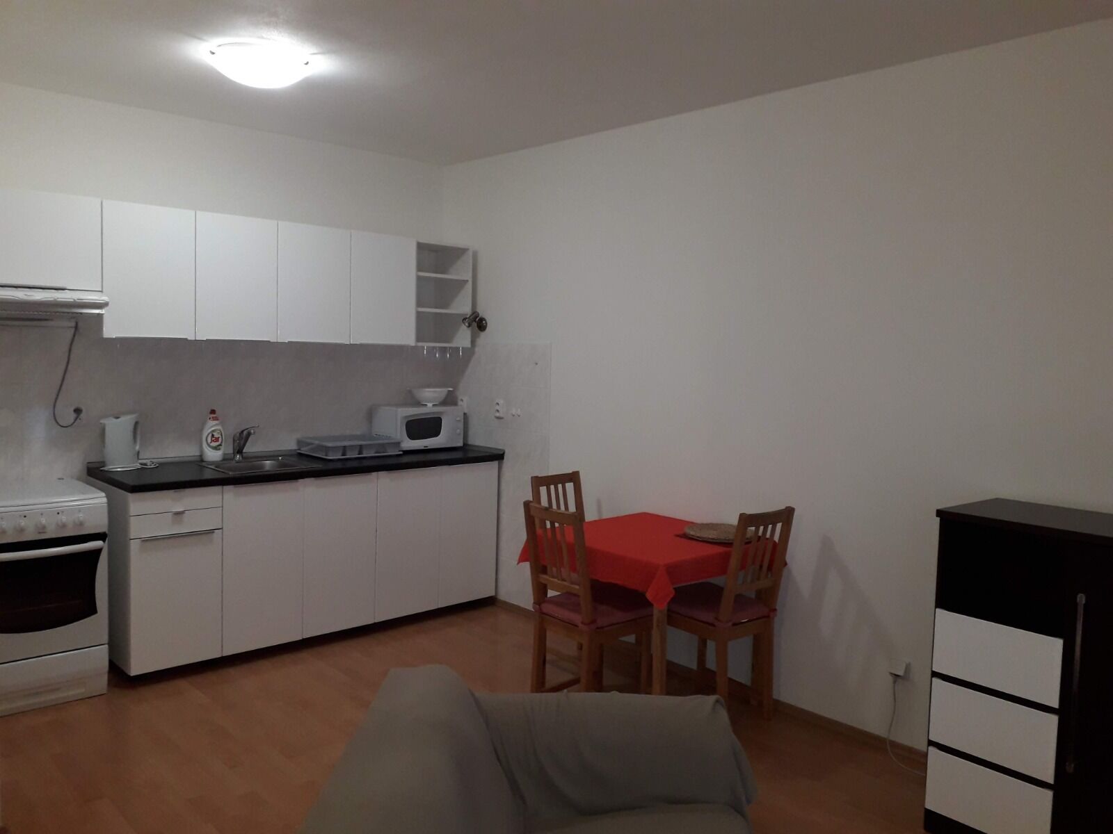 Pronájem prostorného, vybaveného bytu 1kk s balkonem a sklepem s možností parkování