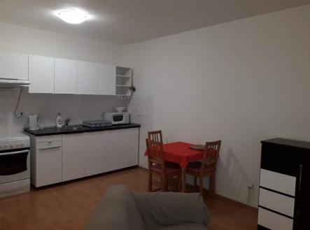 Pronájem bytu, 1+kk, 39 m²