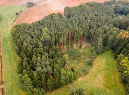 . | Prodej - pozemek, les, 7 816 m²