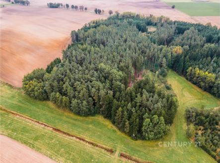 . | Prodej - pozemek, les, 7 816 m²