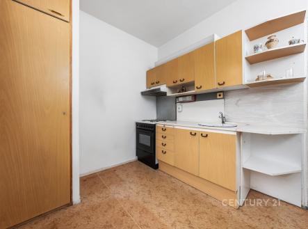 Prodej bytu, 1+1, 36 m² obrázek