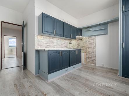 . | Prodej bytu, 3+1, 79 m²