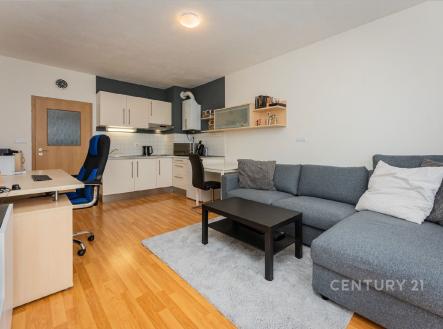 Pronájem bytu, 1+kk, 35 m² obrázek