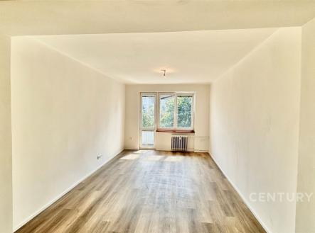 . | Pronájem bytu, 2+1, 53 m²