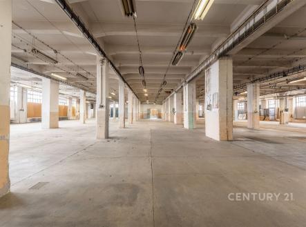 . | Pronájem - skladovací prostor, 1 800 m²