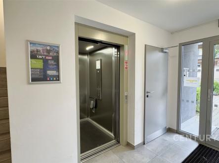 Vstupní hala s moderním výtahem, dlažba na podlaze, prosklené dveře, světlé stěny | Pronájem bytu, 2+kk, 58 m²