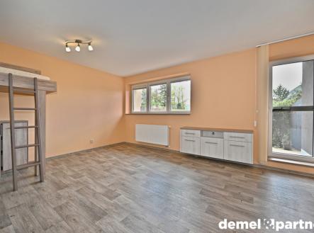 dsc-8153.jpg | Pronájem bytu, 1+kk, 36 m²