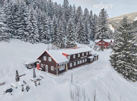 Prodej - dům/vila, 600 m²