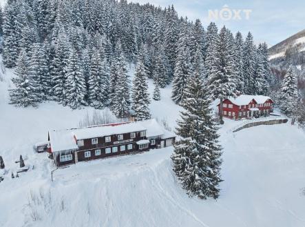 Prodej - dům/vila, 600 m²