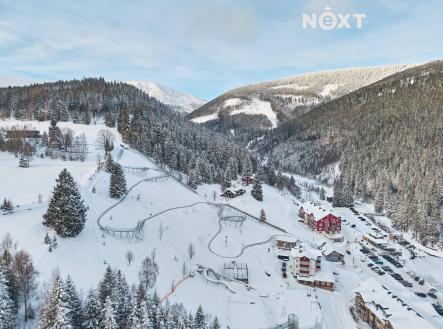 Prodej - dům/vila, 600 m²