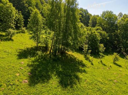 Prodej - pozemek pro bydlení, 5 827 m²