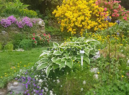 Zahrada | Prodej - dům/vila, 135 m²