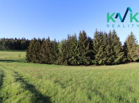 img-4074.jpg | Prodej - pozemek, les, 8 922 m²