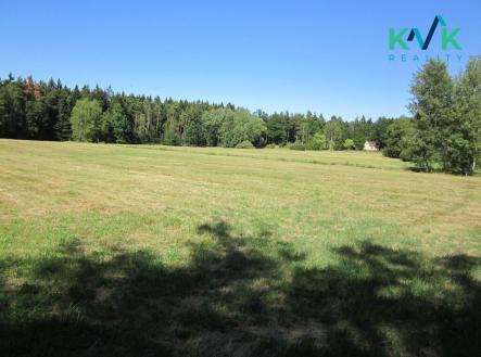 img-2725.jpg | Prodej - pozemek, trvalý travní porost, 7 718 m²