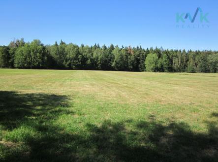 img-2726.jpg | Prodej - pozemek, trvalý travní porost, 10 001 m²