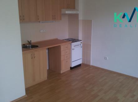 20120529-194623.jpg | Pronájem bytu, 1+kk, 27 m²