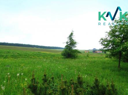 zahrada-b.jpg | Prodej - hotel, 234 m²