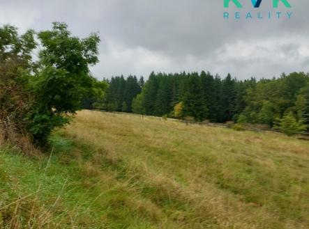 922fe897-4644-49e1-a204-b68c9df6b0fd-1.jpg | Prodej - pozemek pro bydlení, 1 112 m²