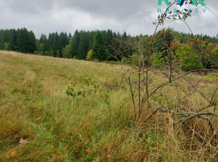 73ec2bfe-f062-4bac-9bbc-9571fed7f6e3.jpg | Prodej - pozemek pro bydlení, 1 259 m²