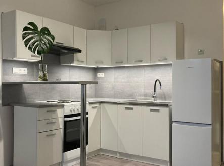 img-20250227-wa0003.jpg | Pronájem bytu, 1+kk, 19 m²